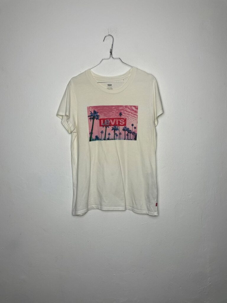 Camiseta Levi's Sunshine M