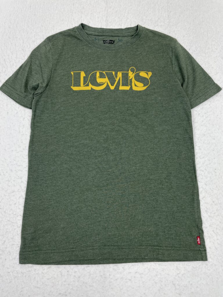 Camiseta Levi's Green & Gold S