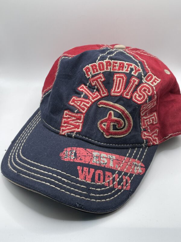 Gorra Strapback Walt Disney Trashy